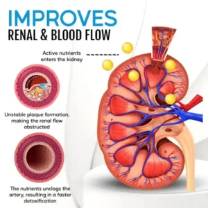 Healthlux™ Kidney Boost & Care Inhaler