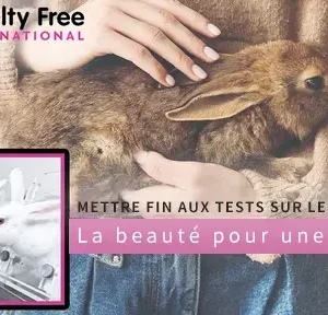ArthroFree™ Venin D’abeille Crème