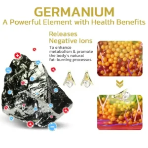 Lymphvity MagneTherapy Germanium Earrings