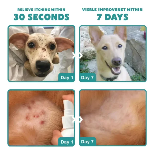 PetCare™ Flea & Tick Kolirin Spray ⏳ 2025 Limited 70% Discount