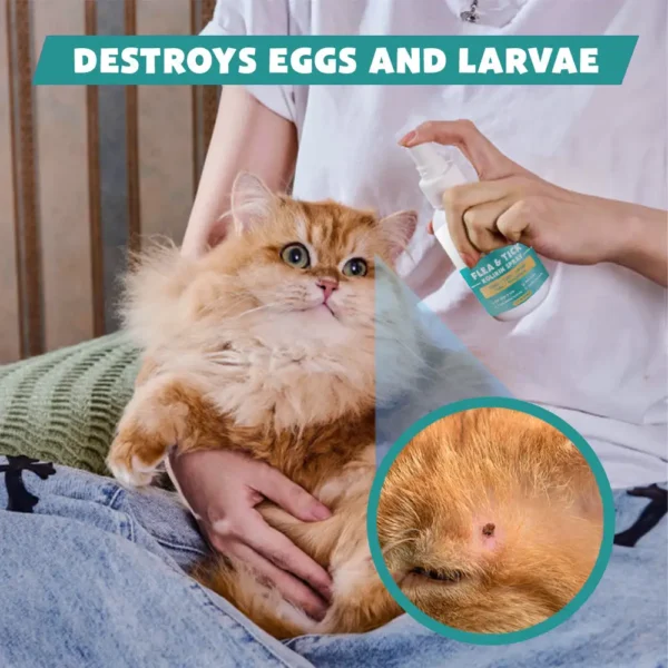 PetCare™ Flea & Tick Kolirin Spray ⏳ 2025 Limited 70% Discount