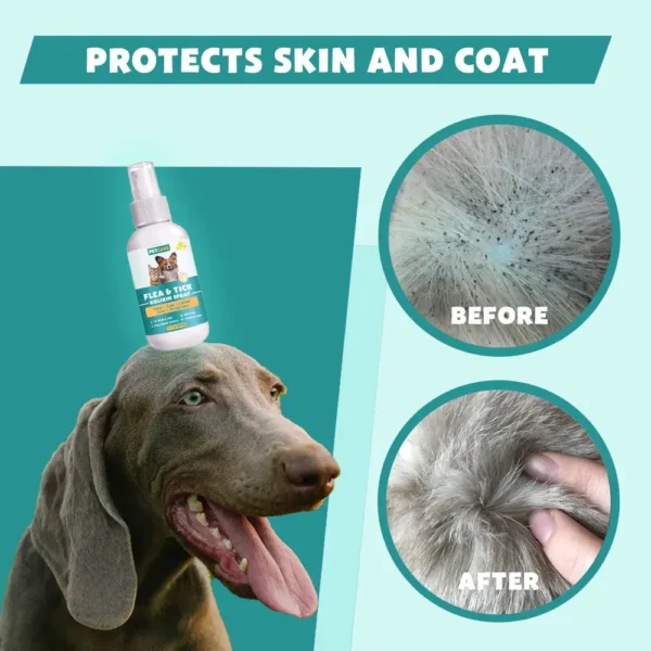 PetCare™ Flea & Tick Kolirin Spray ⏳ 2025 Limited 70% Discount