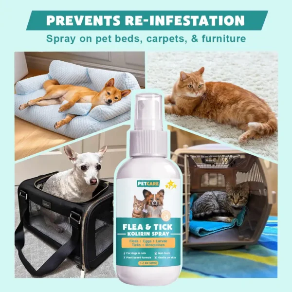 PetCare™ Flea & Tick Kolirin Spray ⏳ 2025 Limited 70% Discount
