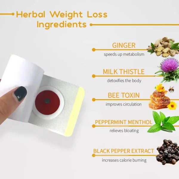 LOVILDS™Natural Herbal Detox Slimming Patch