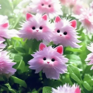 GFOUK® Dazzle Blossom Seeds