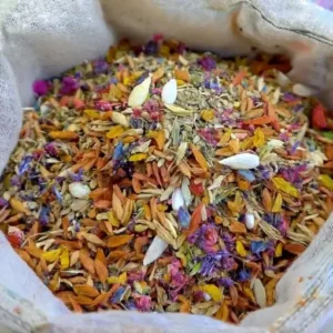 GFOUK® Dazzle Blossom Seeds