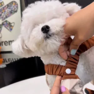 Pet Cozy Pants