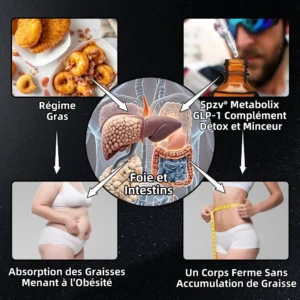 Spzv® Metabolix GLP-1 Complément Détox & Minceur