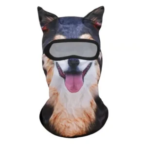 Cute Cat Ear Winter Balaclava